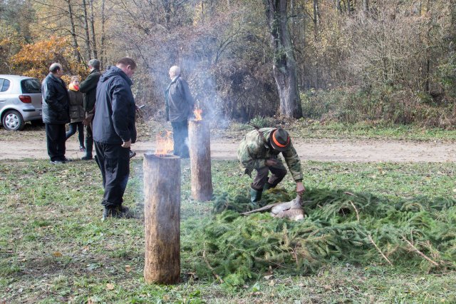 Polowanie Hubertowskie 2015